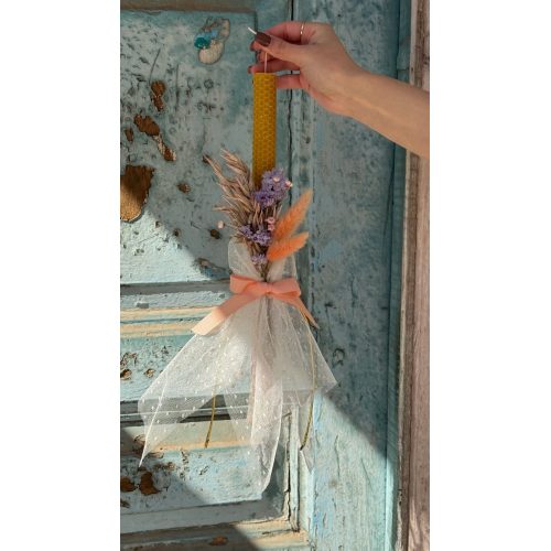 nema concept SPRING DAWN