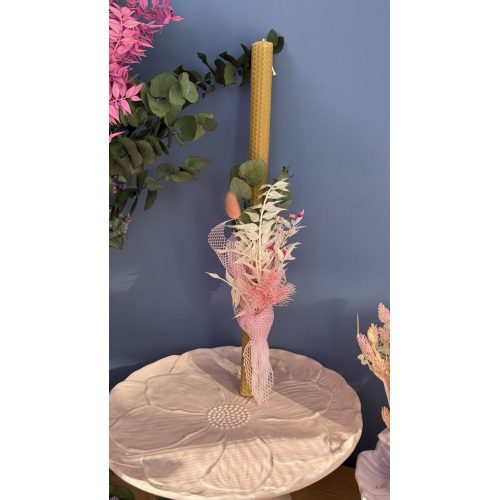 nema concept JASMINE