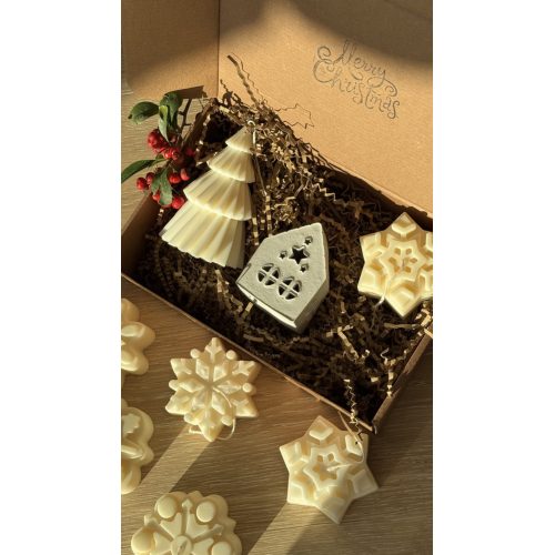 nema concept Christmas HOME Small