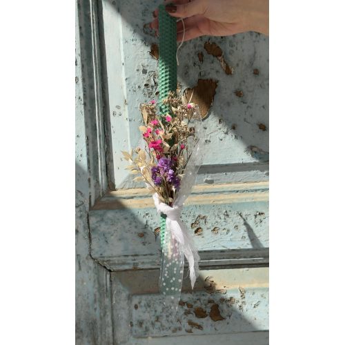 nema concept JASMINE