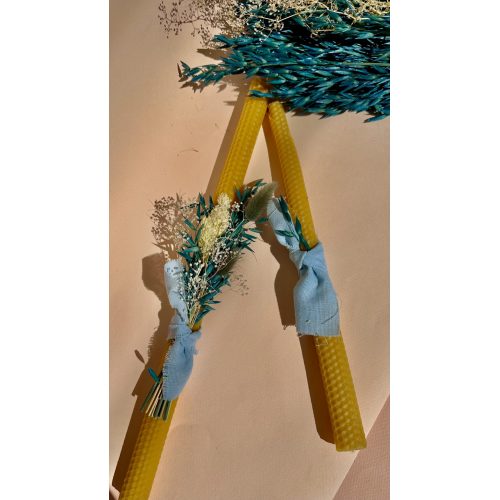 nema concept BLUE BEE